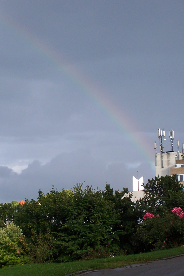 Regenbogen