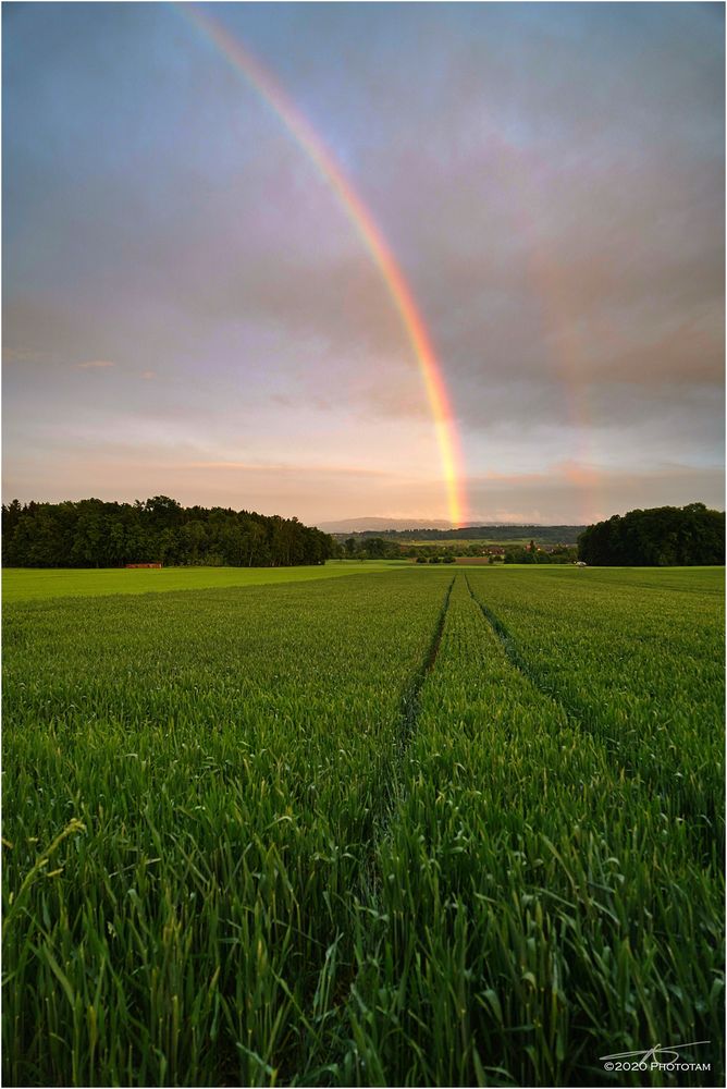 Regenbogen