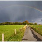 Regenbogen