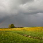 Regenbogen