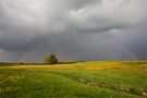 Regenbogen von Belfo 