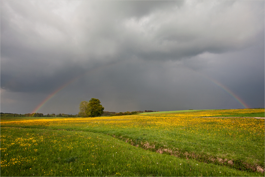 Regenbogen