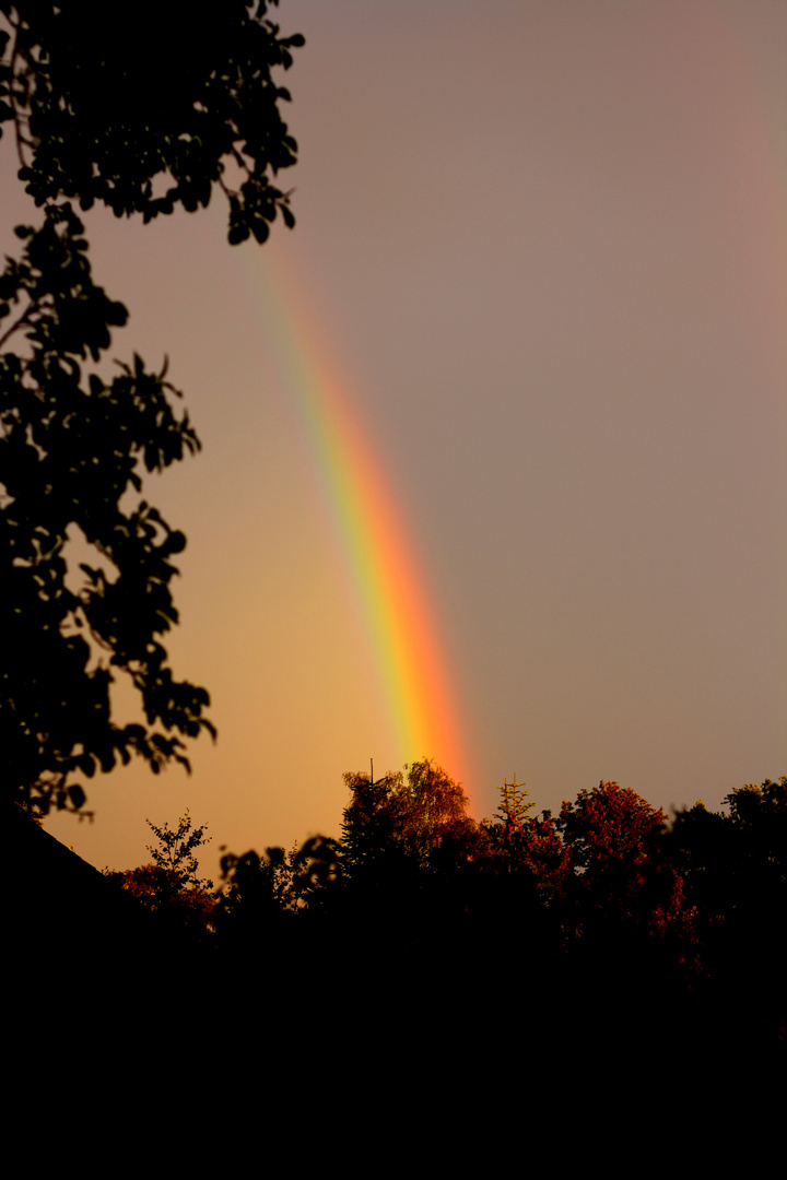 Regenbogen