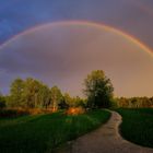 Regenbogen