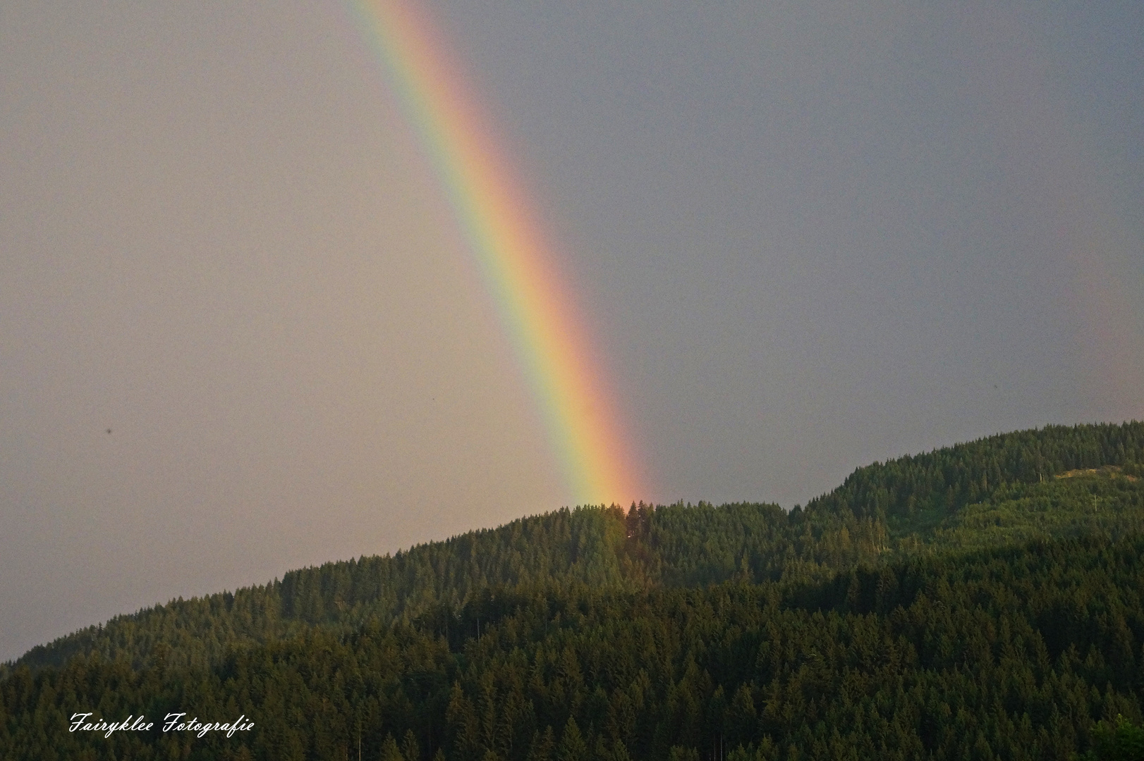 Regenbogen