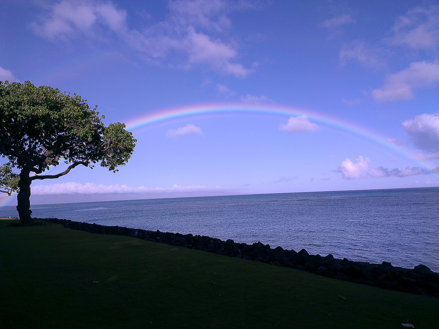 Regenbogen 