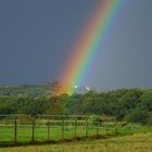 Regenbogen