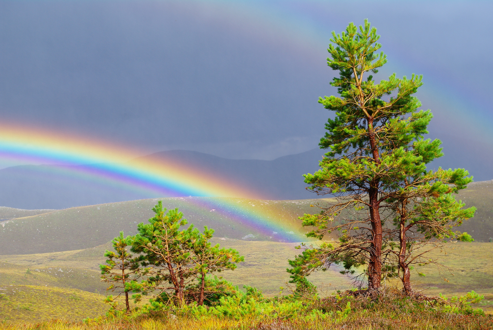 Regenbogen