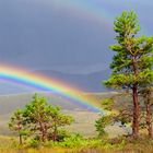 Regenbogen