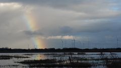 Regenbogen... 