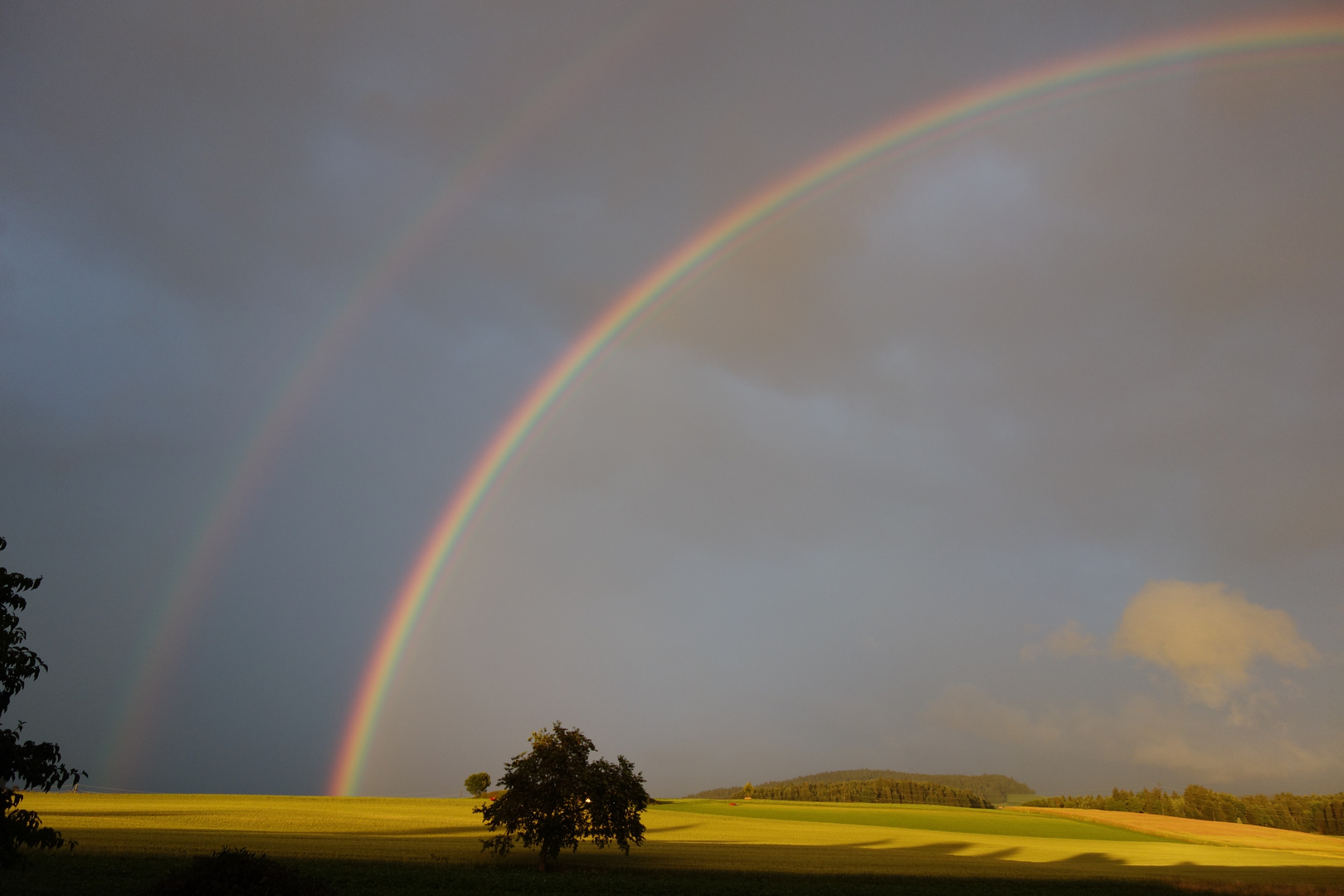 Regenbogen