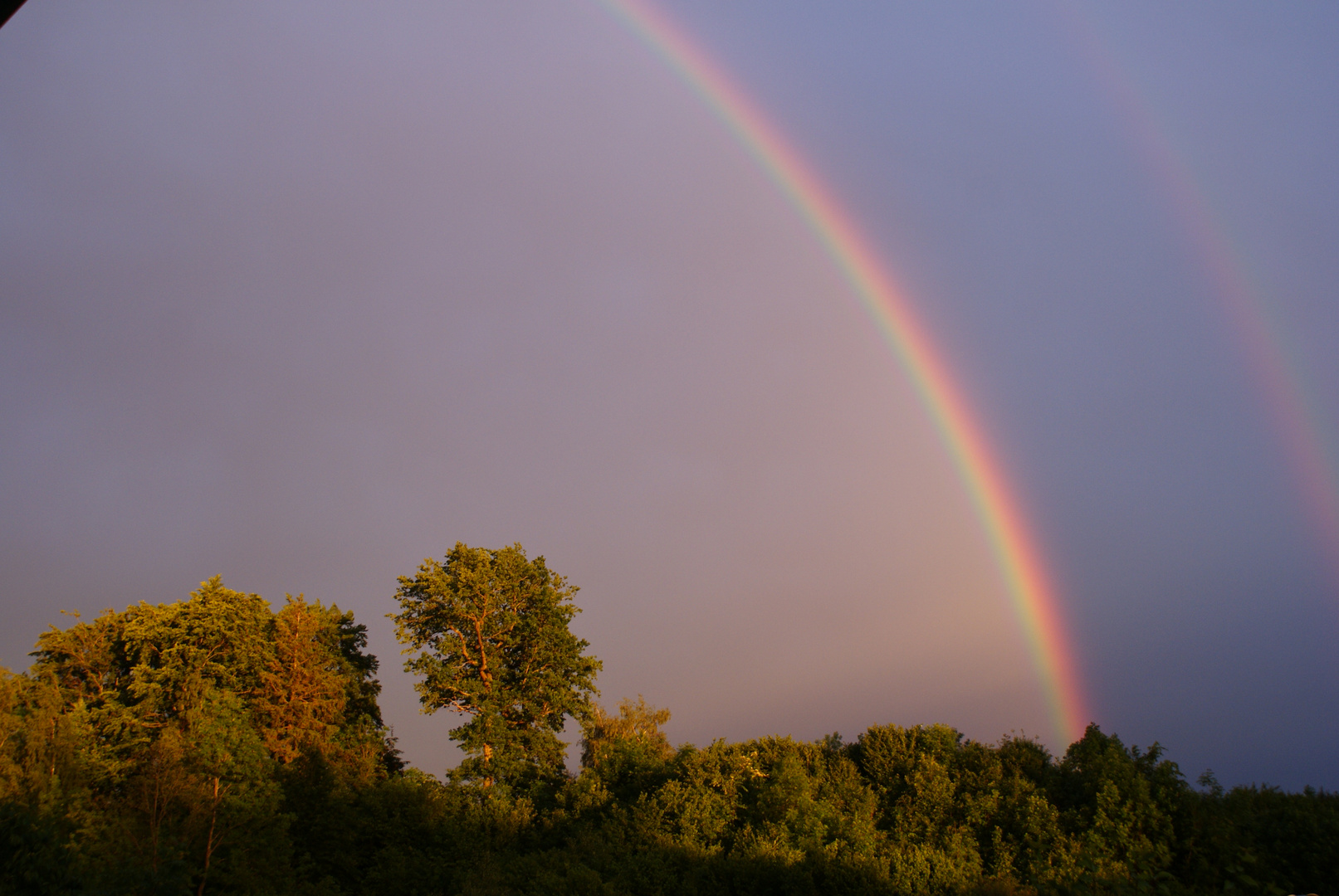 Regenbogen