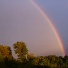 Regenbogen