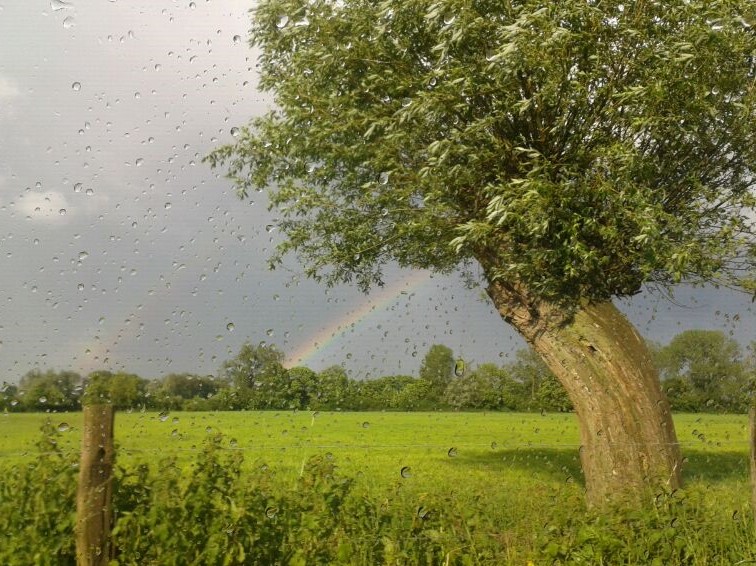 Regenbogen 