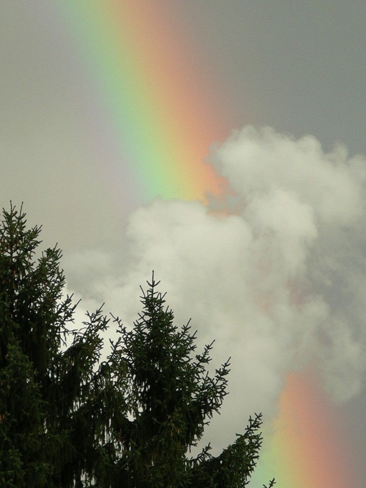 Regenbogen