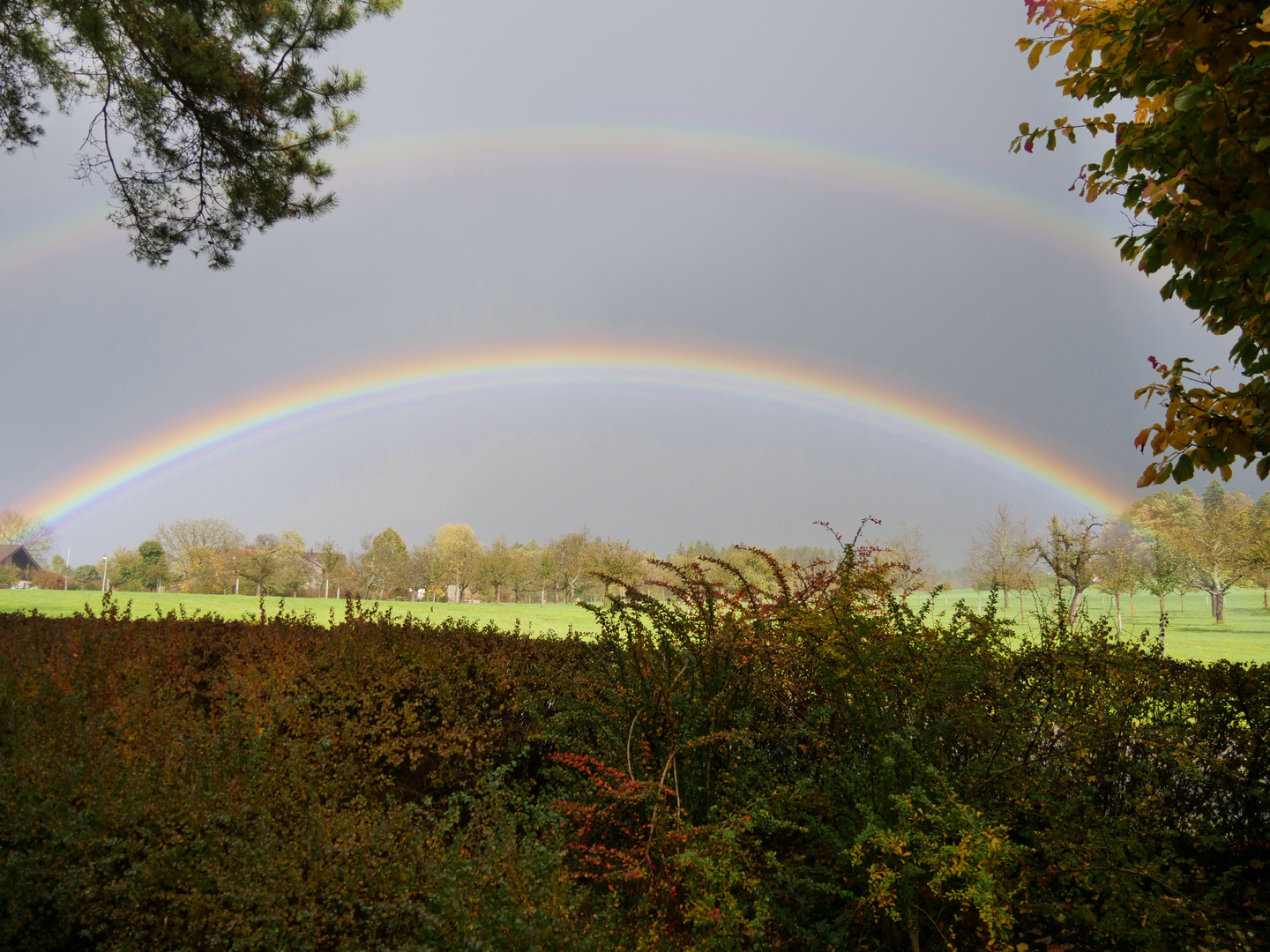 Regenbogen