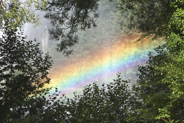 Regenbogen