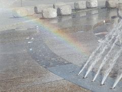 Regenbogen