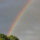 Regenbogen