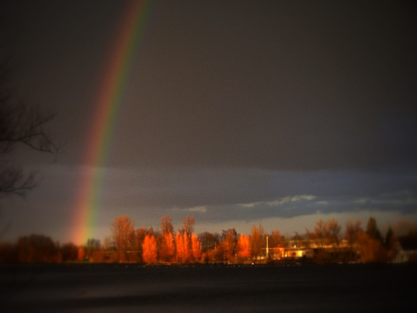 Regenbogen