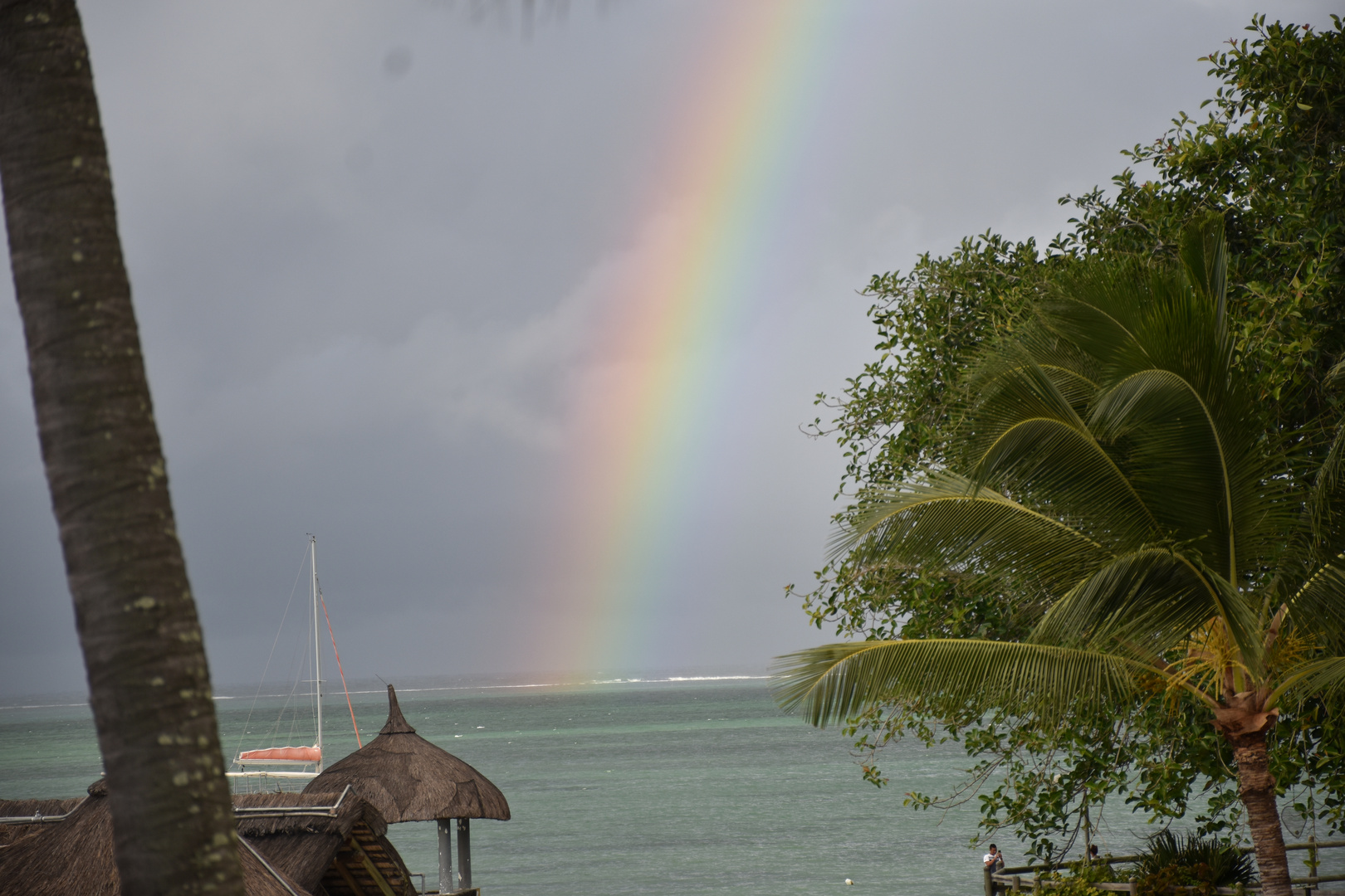 Regenbogen