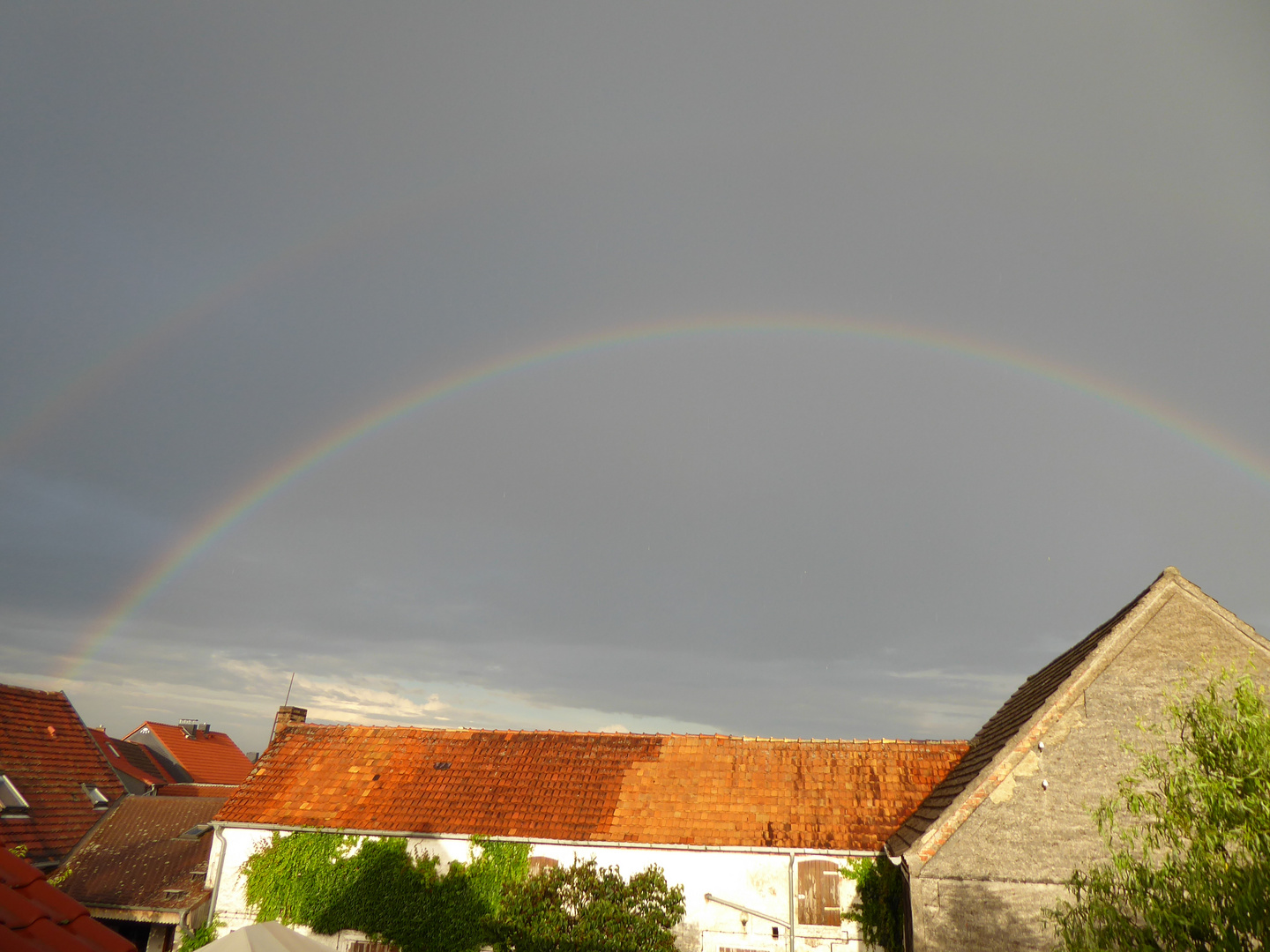 Regenbogen