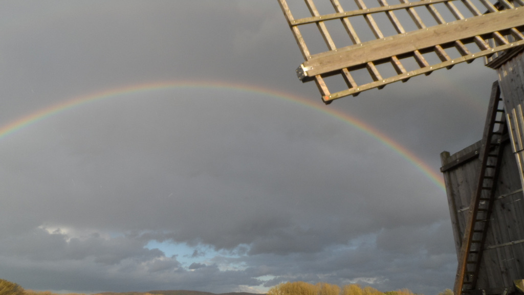 Regenbogen