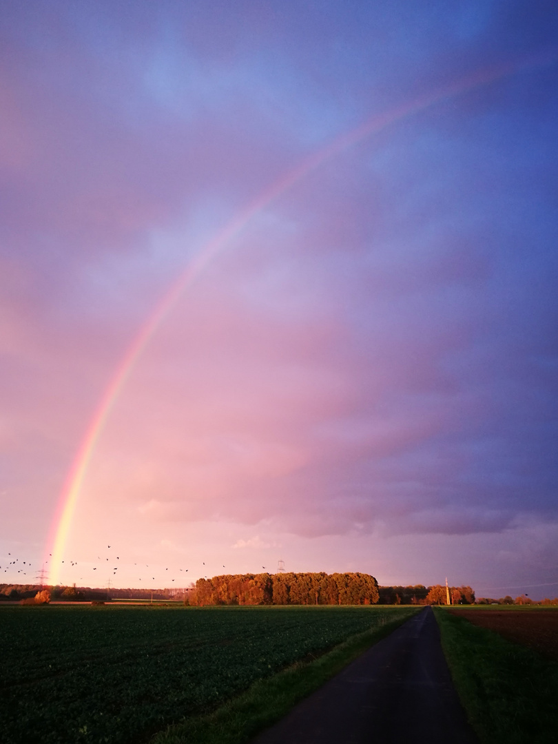 Regenbogen