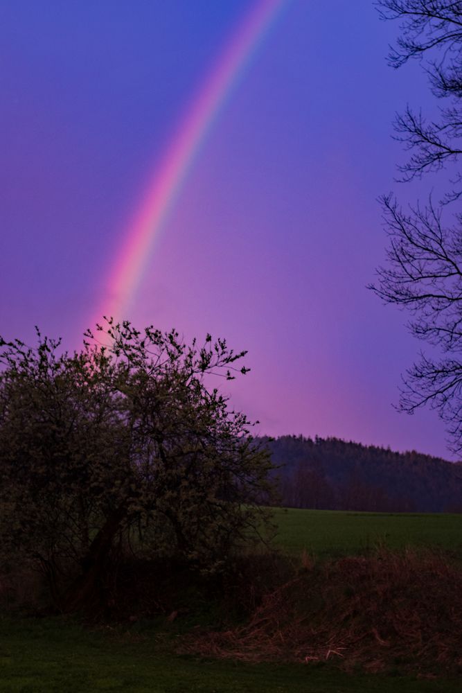 Regenbogen