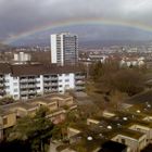 Regenbogen