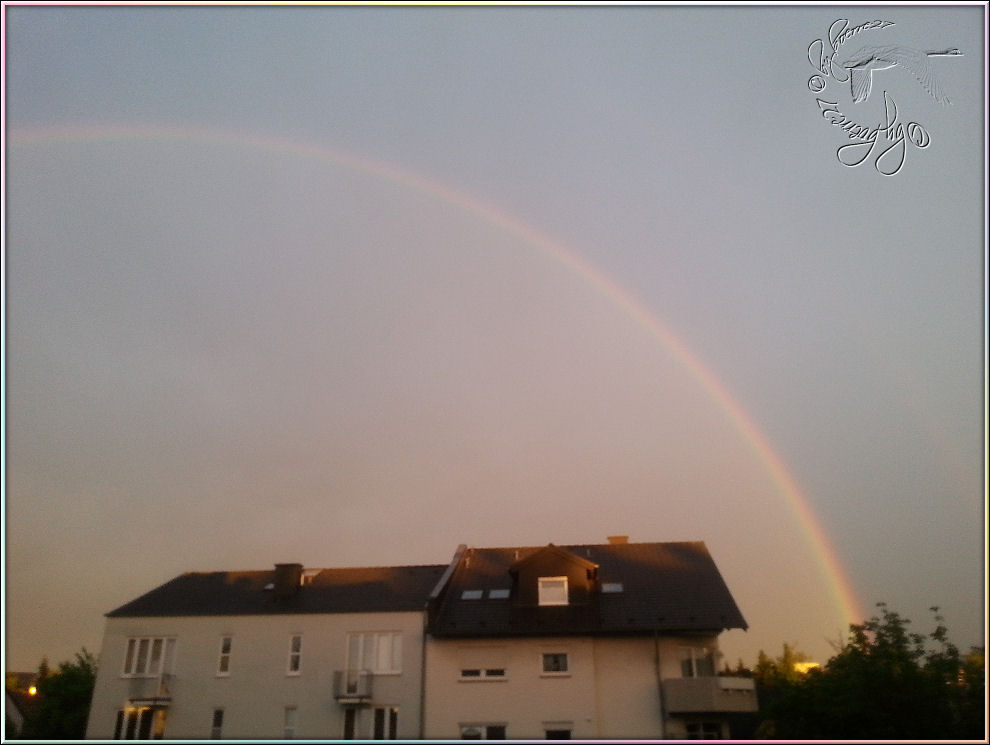 Regenbogen