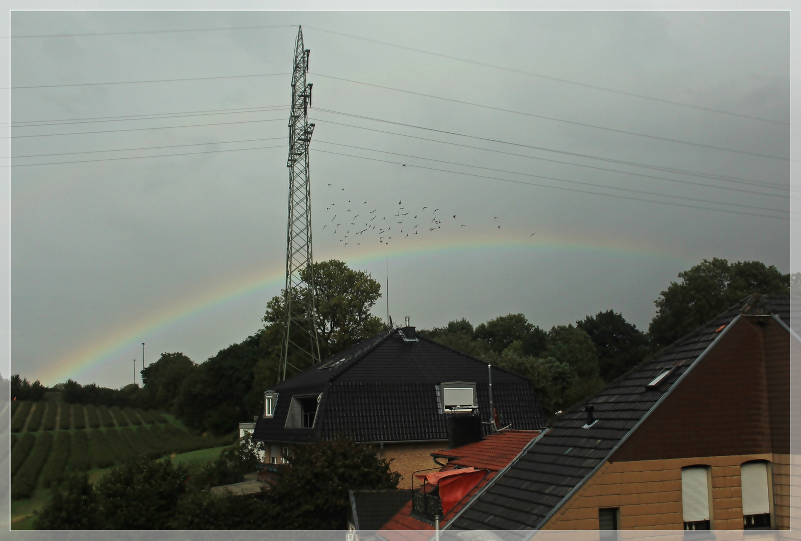 Regenbogen