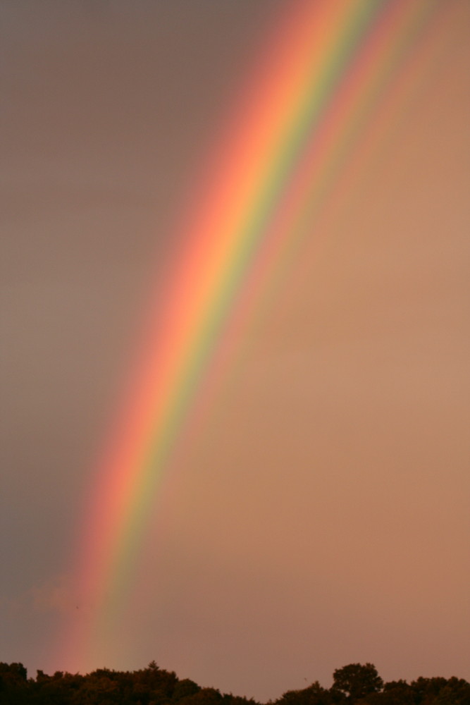 Regenbogen