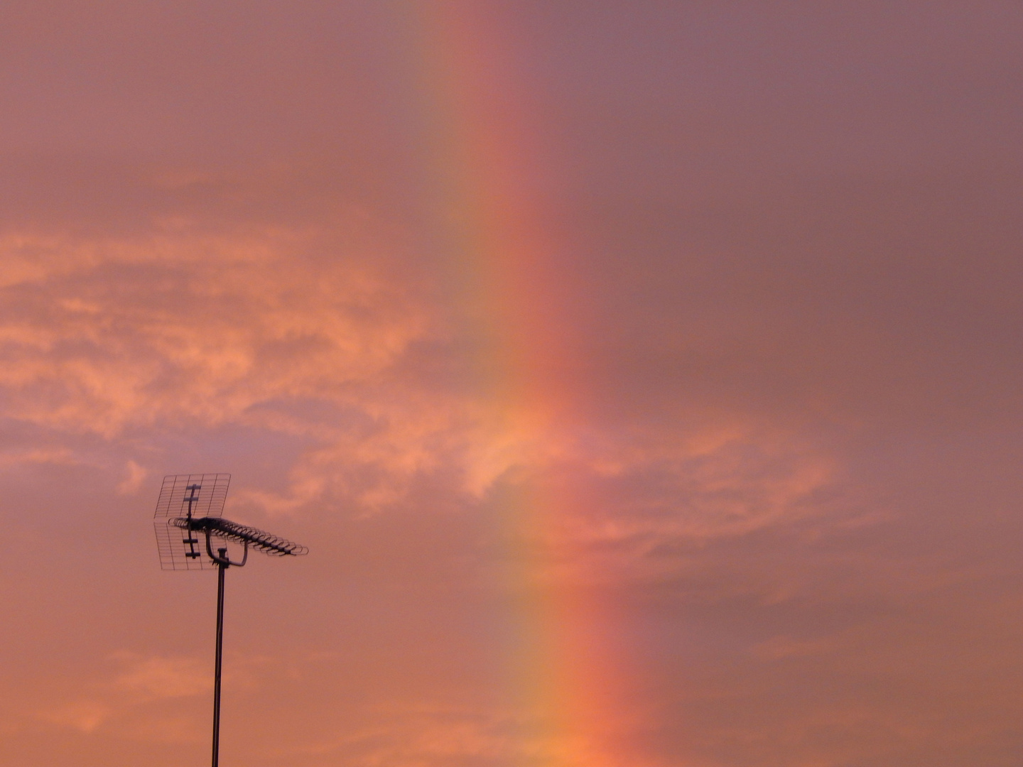 Regenbogen