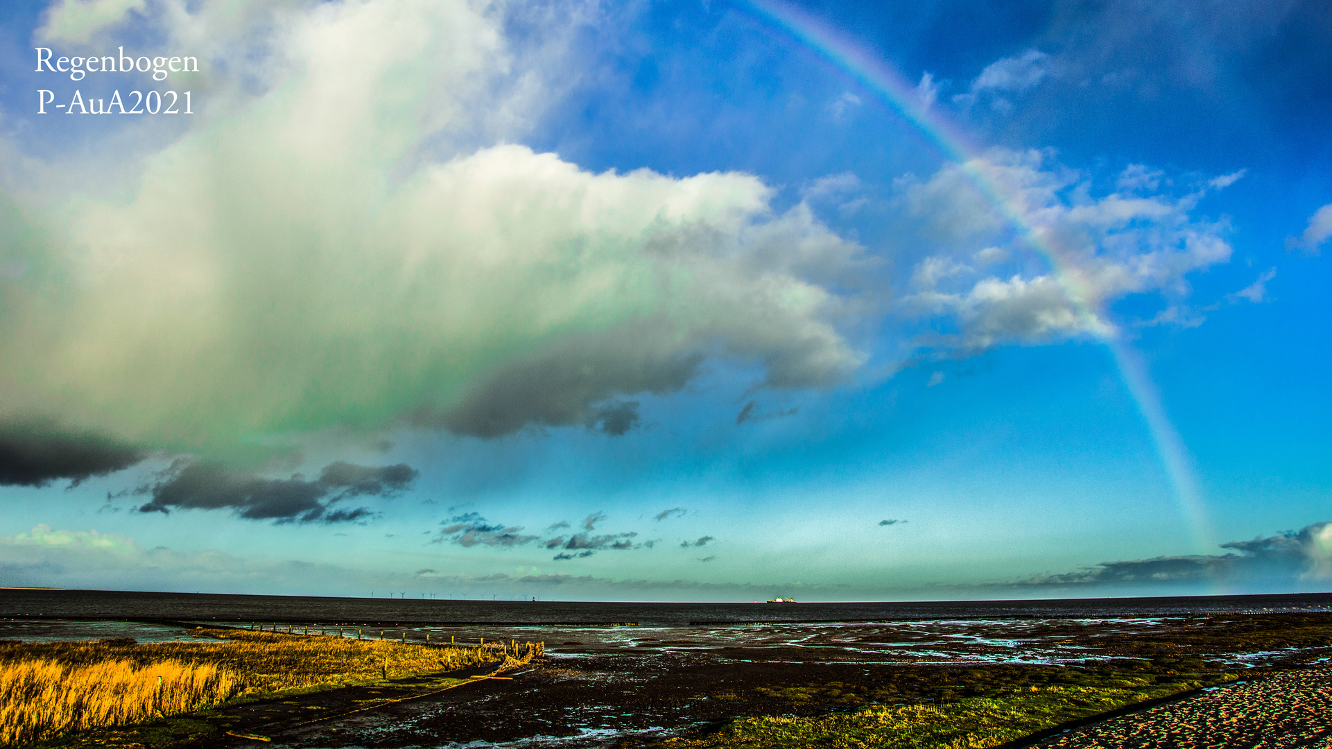 Regenbogen 