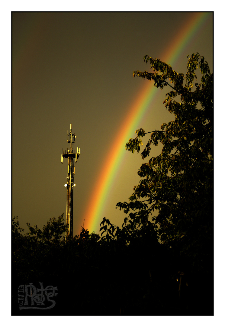 Regenbogen