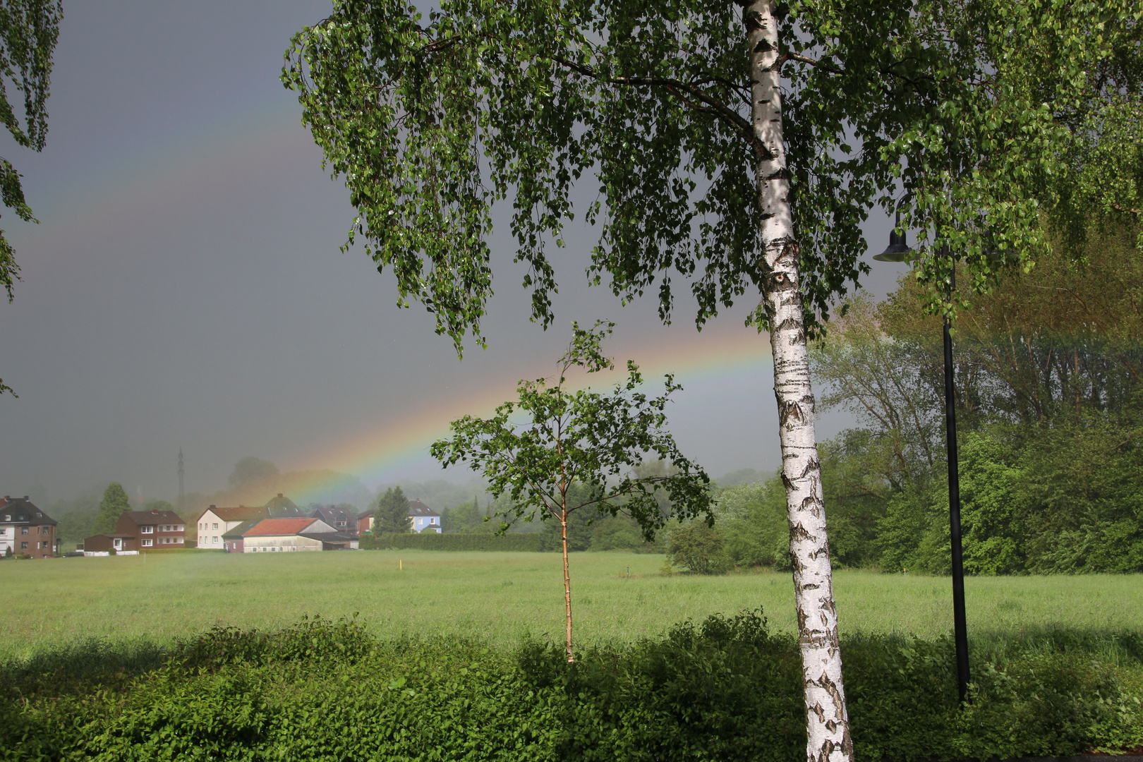 Regenbogen