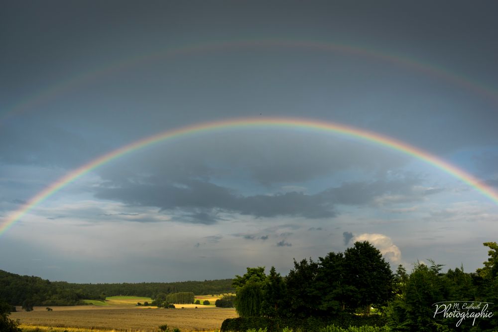 Regenbogen