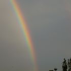 regenbogen