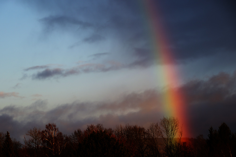 Regenbogen