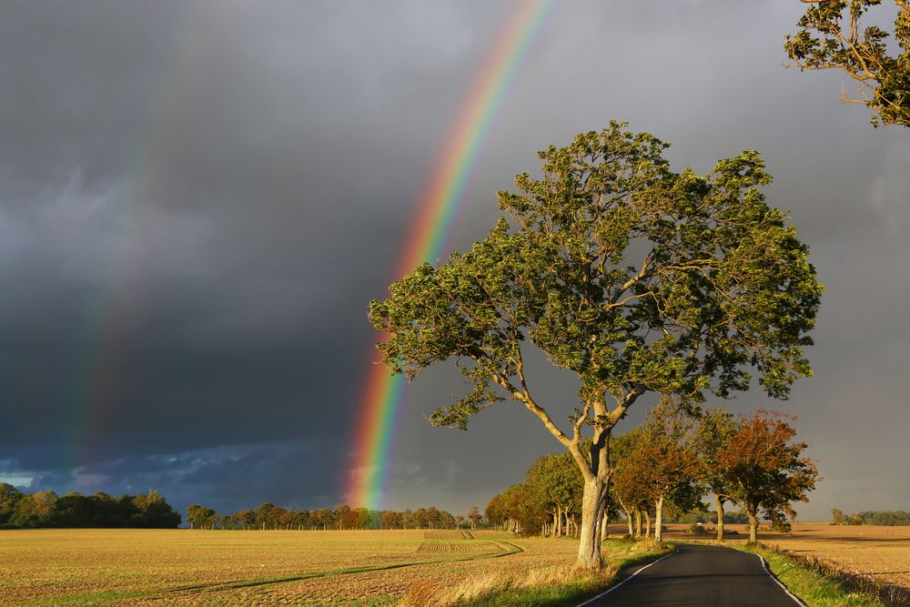 Regenbogen-Allee