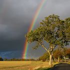 Regenbogen-Allee