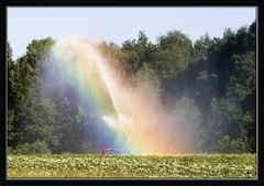 Regenbogen "Alter- native"