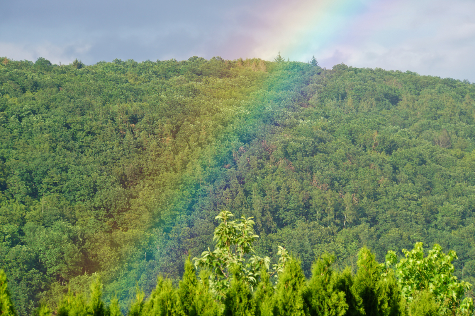 Regenbogen am 20.06.2019_2