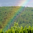 Regenbogen am 20.06.2019_2