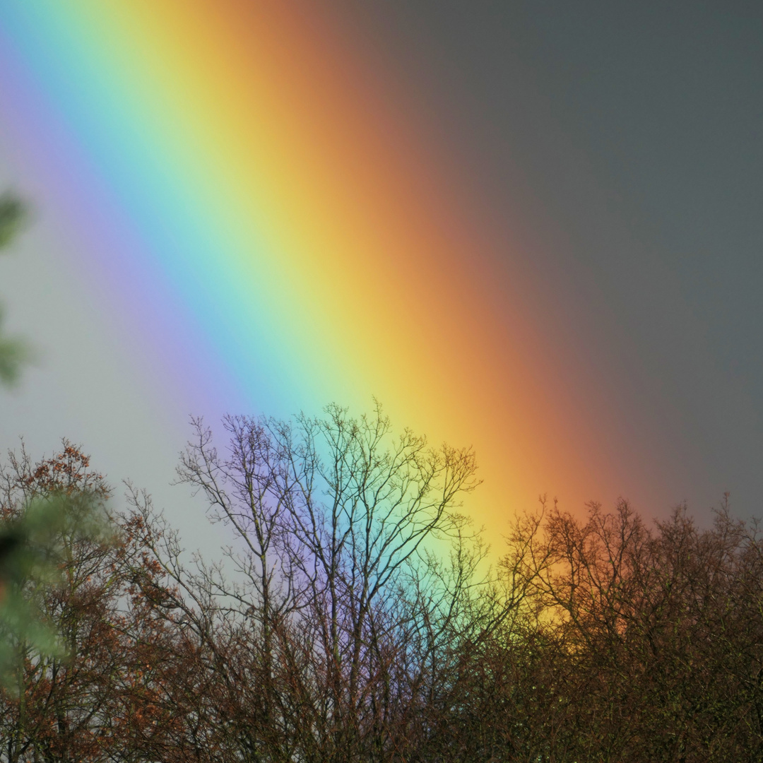 Regenbogen am 24.02.2024 um 15:54 in Hannover Bothfeld