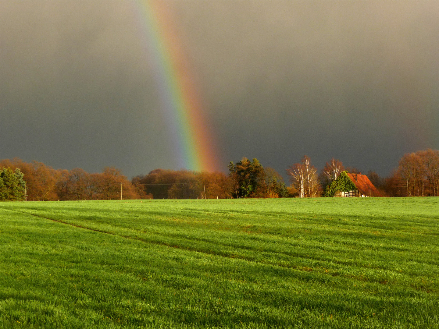 Regenbogen am Abend