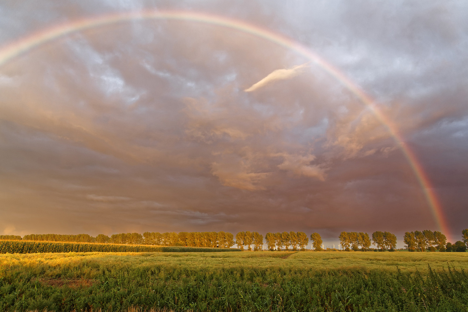 Regenbogen am Abendhimmel in Ostfriesland