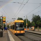 Regenbogen am Amalie-Dietrich Platz