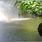 Regenbogen am Busen der Natur